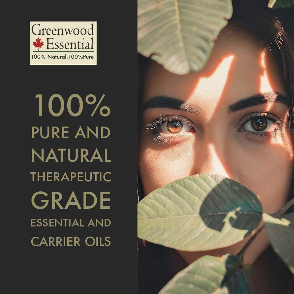 Greenwood Essential Wormwood Oil steam-distilled for pure concentration.