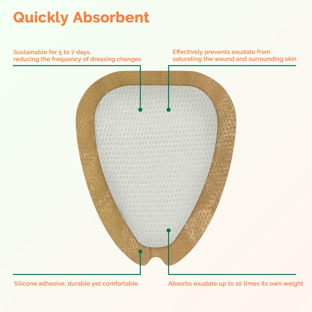 Greetmed Sacrum Foam Dressing absorbent foam core locks exudate and protects surrounding skin.