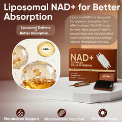 GROHESE NAD+ label closeup highlighting gluten-free and GMO-free formula.