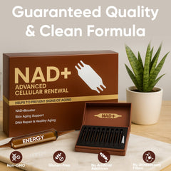 GROHESE NAD+ usage set suggesting practical daily routines.