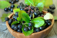 GUT BAR Aronia powder on oats for a fiber-rich breakfast