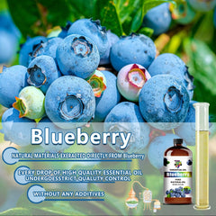 GV77ZF Blueberry Essential Oil enhances humidifier room ambiance