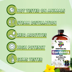 GV77ZF Gardenia essential oil diffuser application for calming ambiance