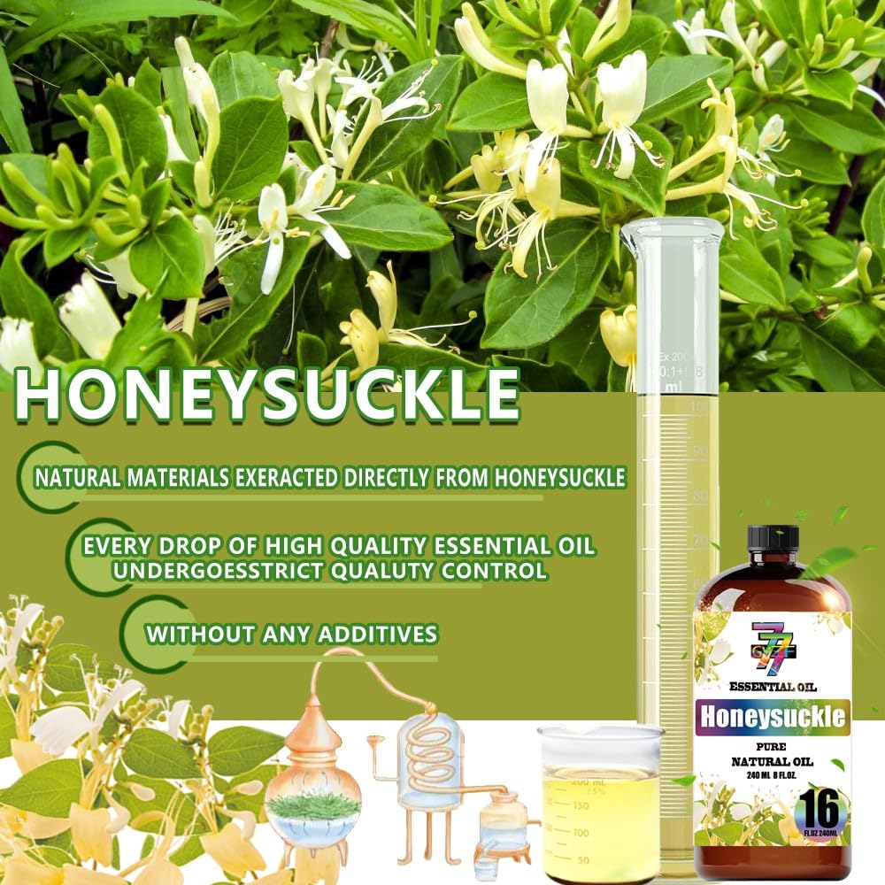 GV77ZF Honeysuckle oil gift box suitable for thoughtful presents.
