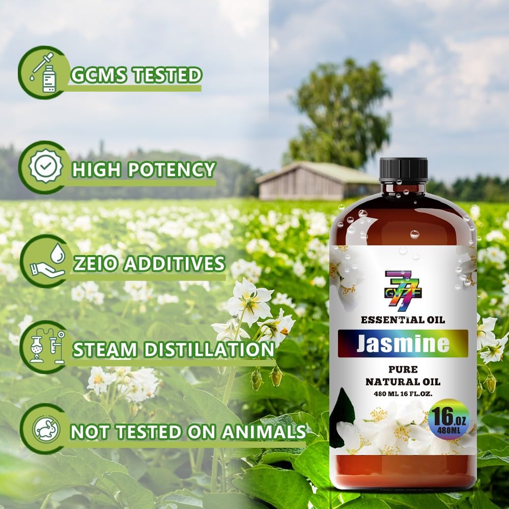 GV77ZF Jasmine oil ideal for humidifiers and room diffusion