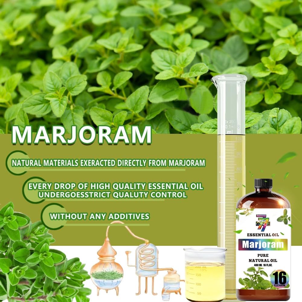 GV77ZF Marjoram Essential Oil stored in amber bottle, ideal for long-term shelf life.