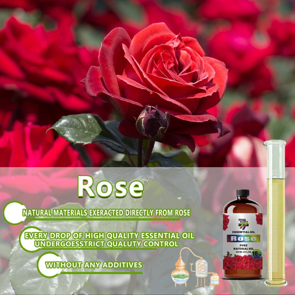 GV77ZF Rose Essential Oil for massage and skincare crafts