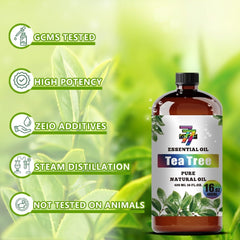 GV77ZF Tea Tree oil gift box ready for gifting.