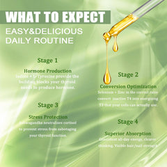 GXSAE Kindled Thyroid Drops daily-use scene suggests simple routine integration.