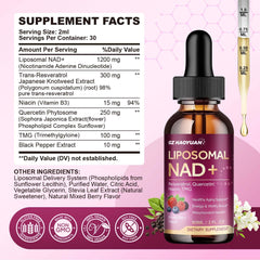 Dropper dispensing NAD+ liquid for fast absorption