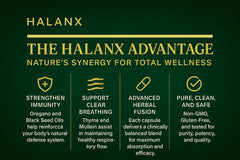Halanx Oil of Oregano Softgels in use during morning routine for daily vitality.