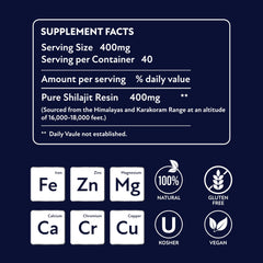 Hampton Shilajit Resin daily-use scenario image suggests energy and focus support.
