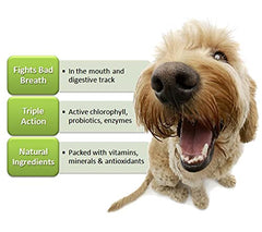 Hank and Harley Fresh Breath TABS chew tablet close up highlighting chlorophyll and mint for fresher breath.