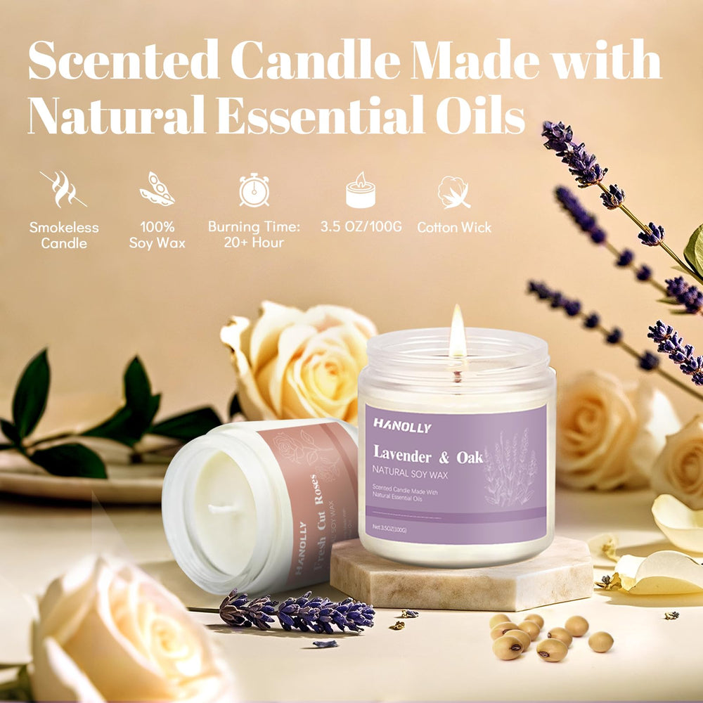 Hanolly 12-pack candles Sage Citrus visual highlights uplifting aroma and clean burn.