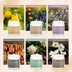 Hanolly 12-pack candles Sicilian Lemon visual brightens spaces with refreshing scent.