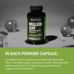 HAVASU Nutrition Mullein Leaf Capsules pouring capsules for easy daily intake