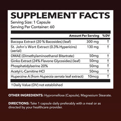 HAVASU NUTRITION NeuroIGNITE label closeup with Ginkgo and Bacopa ingredients.