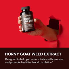 Havasu Nutrition Saw Palmetto capsules front-label, promotes balanced energy.