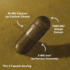 HAVASU NUTRITION Shilajit capsules cGMP facility — manufactured in a trusted plant.