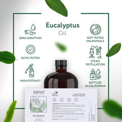 HBNO eucalyptus oil in diffuser scene for refreshing aromatherapy