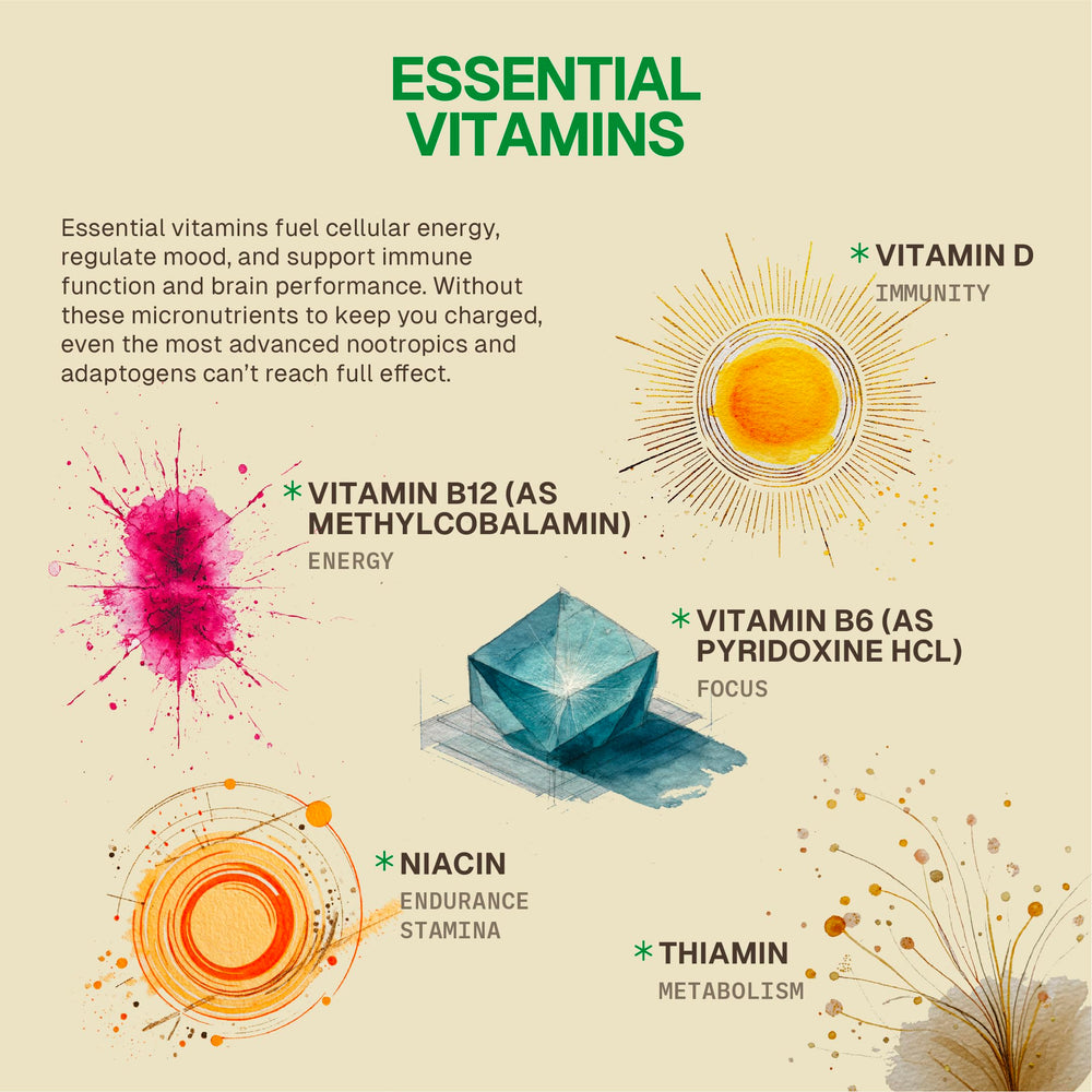 HEAD-START Sunrise adaptogen blend image showcases Rhodiola, Reishi, and Ashwagandha.