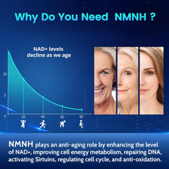 Label close-up on HEALGUT NMNH bottle highlighting 600 mg dosing for NAD+ support.