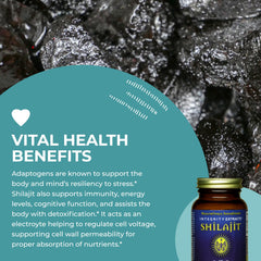 HealthForce Shilajit minerals iconography highlights 75+ minerals in ionic form.