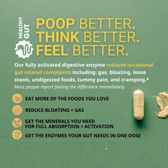Healthy Gut HoloZyme Max Strength clinical studies graphic referencing pilot research