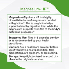 Healthy Gut Magnesium-HP daily-use concept image suggests a calm, balanced routine.