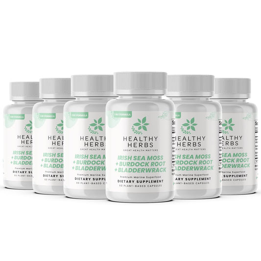 Healthy Herbs sea moss bottle front in a 6-pack for daily plant-based support