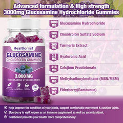 Healtionist elderberry extract bottle showing antioxidant support