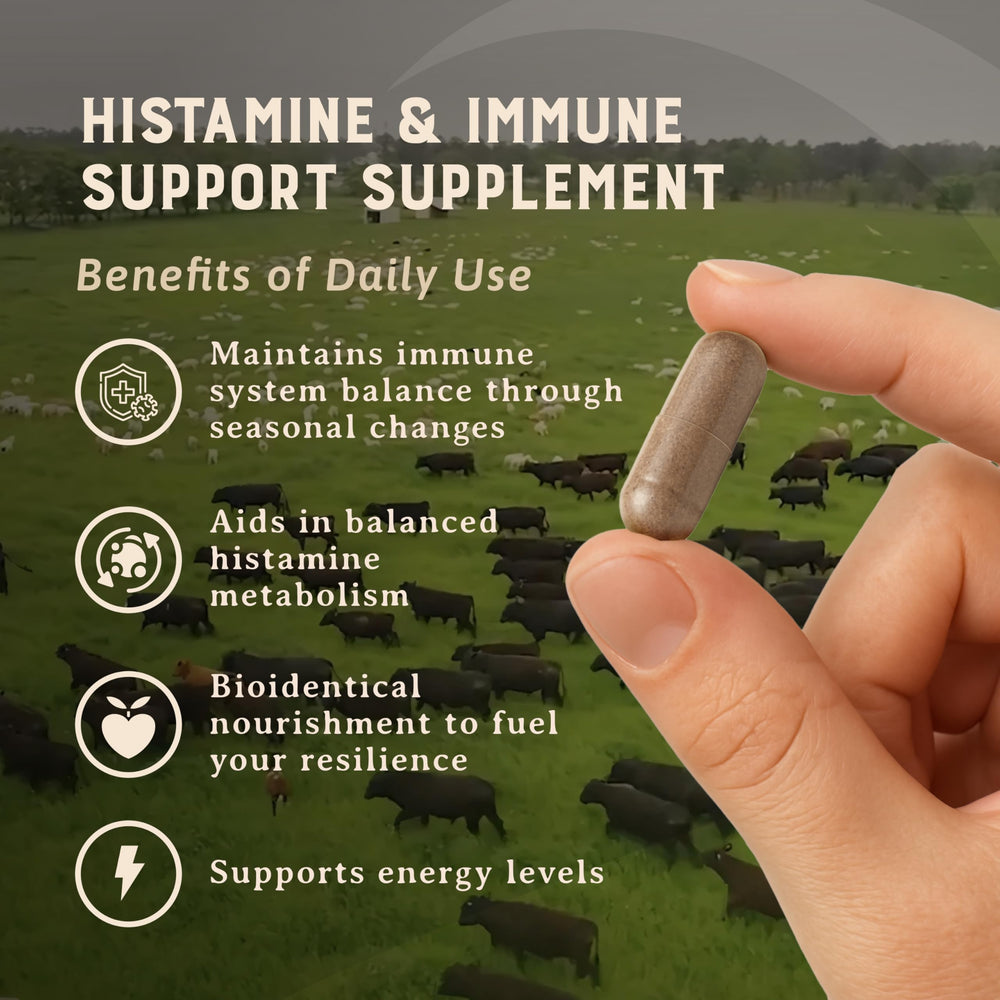 HEART & SOIL grass-fed capsules showcase regenerative cattle origin for gut and immune support.