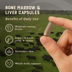 Heart & Soil regenerative cattle farm scene emphasizing sustainable sourcing.