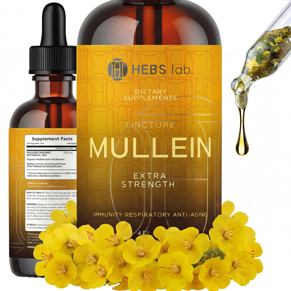 HEBS LAB mullein leaf extract bottle for daily lung support