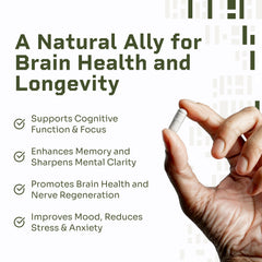 Hello100 Lions Mane label detail highlighting dual extraction and 20% beta-glucans.