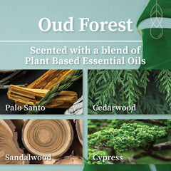 Hemlock Park Oud Forest candle crackling wick close-up for cozy fireside feel.