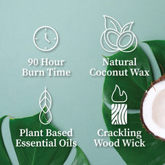 Hemlock Park candle packaging in a gift box setup