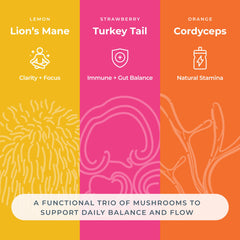 Hemp & Hand gummies strawberry flavor shows Turkey Tail blend for a fruit-forward option