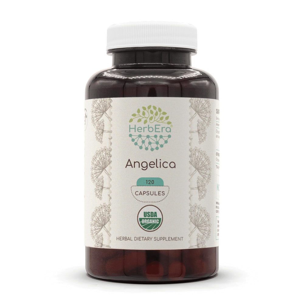 HerbEra Angelica organic capsules bottle for convenient daily use