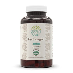 HerbEra Hydrangea 120 capsules bottle, organic supplement for daily wellness