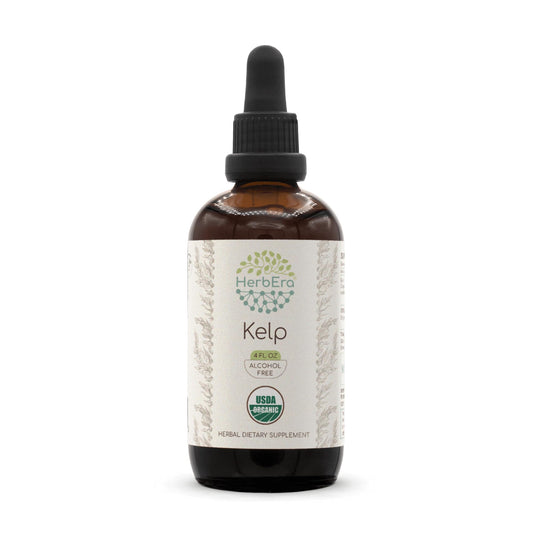 HerbEra Kelp B120 tincture bottle for convenient daily use