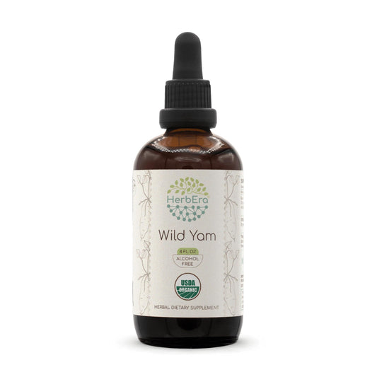 HerbEra Wild Yam tincture bottle with clear dropper for daily herbal use