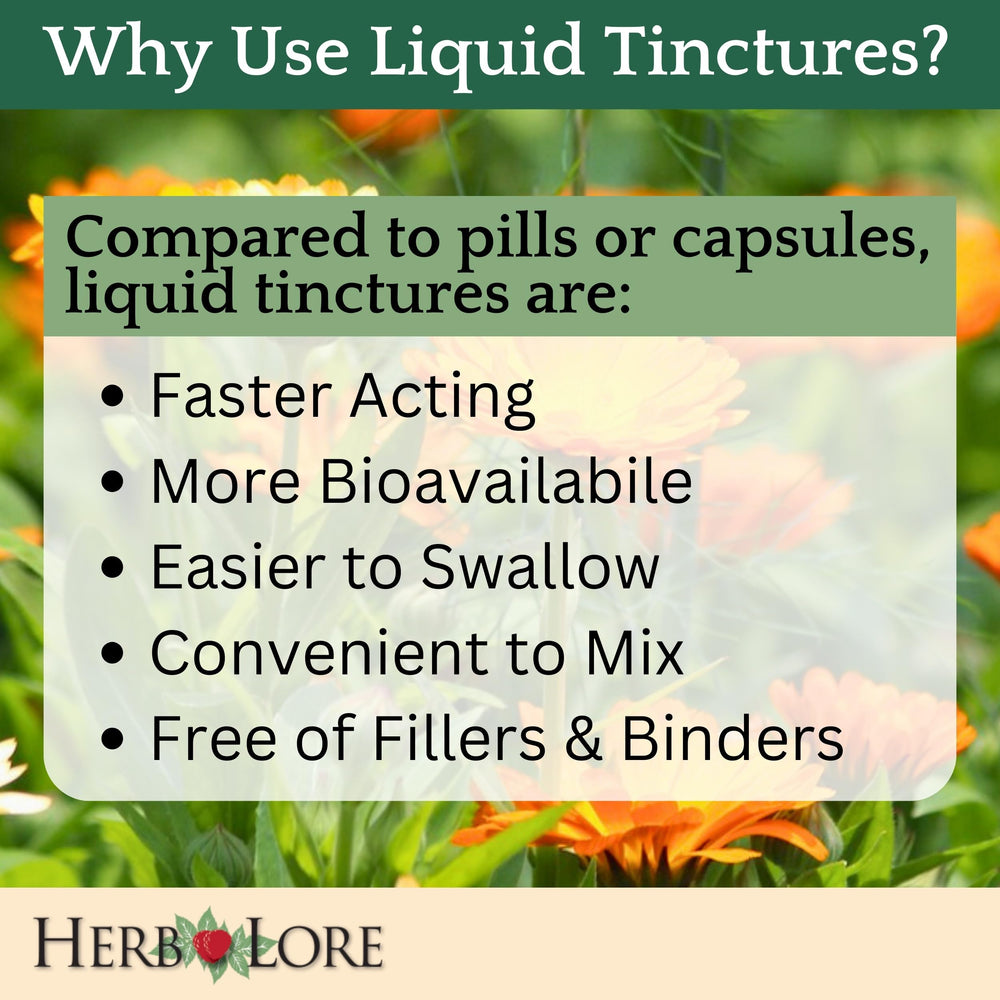 Herb Lore Quiet Cough tincture highlights mullein and elecampane blend