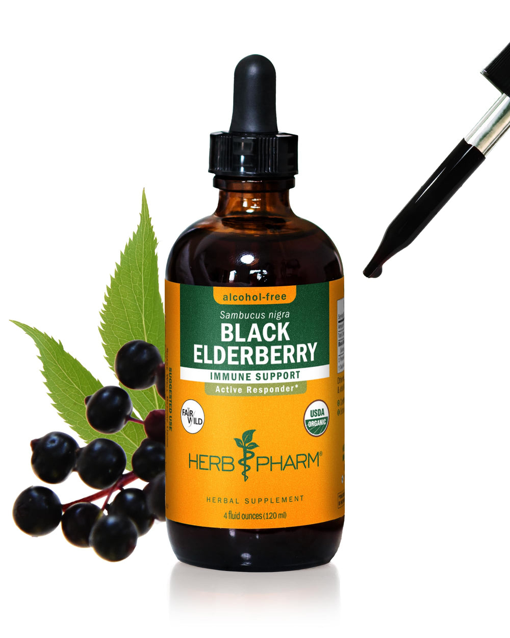 Herb Pharm black elderberry liquid bottle ready for easy immune support