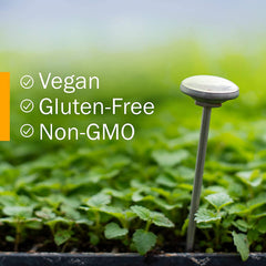 Herb Pharm Burdock Blend amber vial for long-term storage