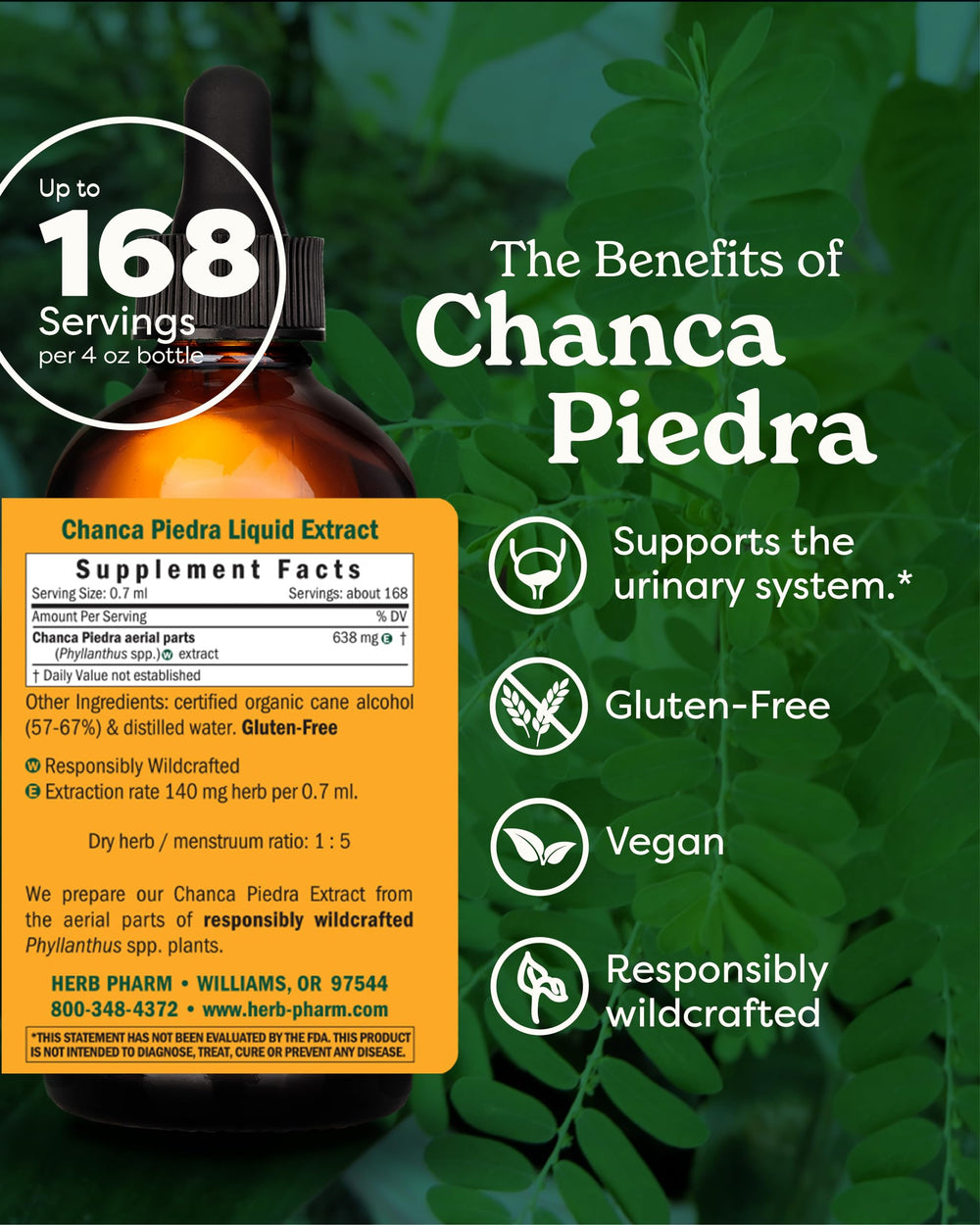 Chanca Piedra liquid extract dropper by Herb Pharm for daily use