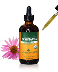 Herb Pharm Echinacea Root Liquid bottle for immune support and easy dosing