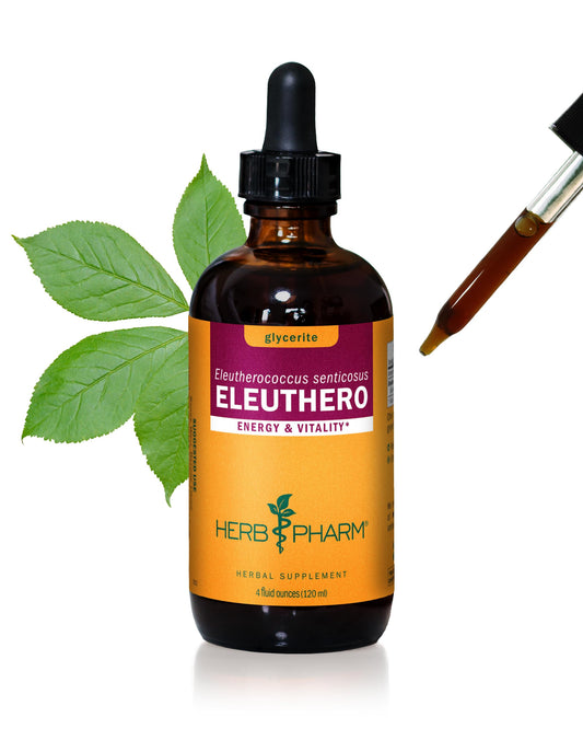 Herb Pharm Eleuthero Root Liquid Glycerite bottle ready for use, supports energy and stamina.