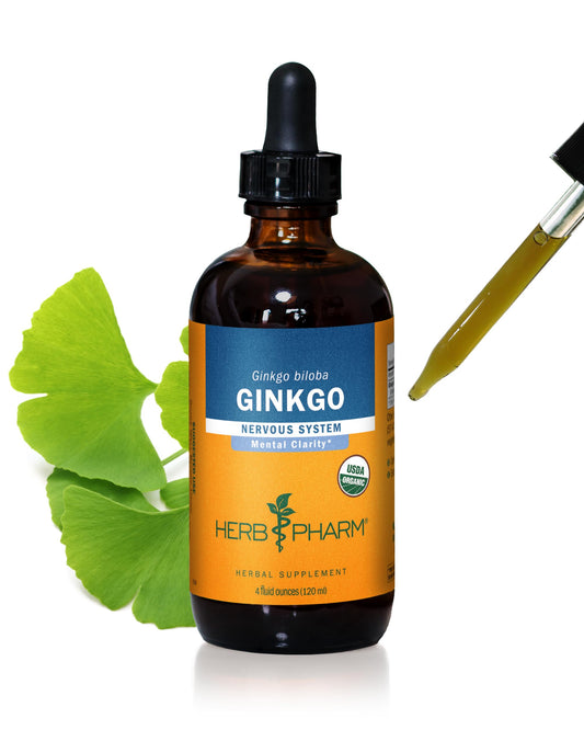 Herb Pharm Ginkgo leaf harvest illustrating organic sourcing for memory support