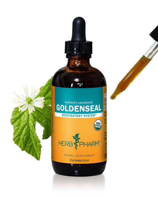Herb Pharm Goldenseal liquid bottle for respiratory support.